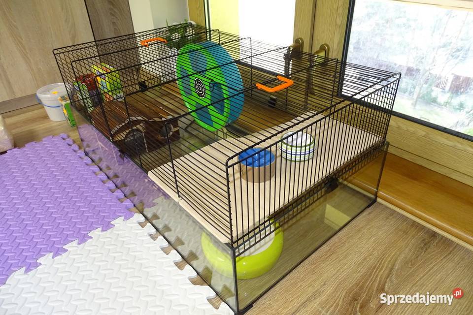 Używana klatka chomika 80x46 wys 35