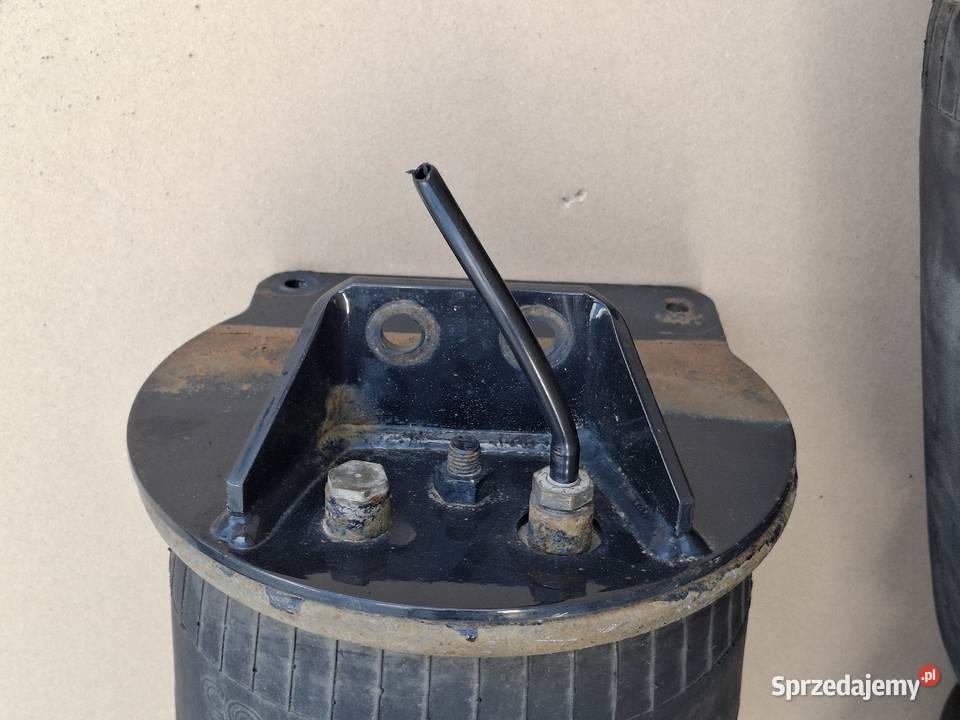 MAN TGX TGS TGA PODUSZKA MIECH ZAWIESZENIA Bieleń