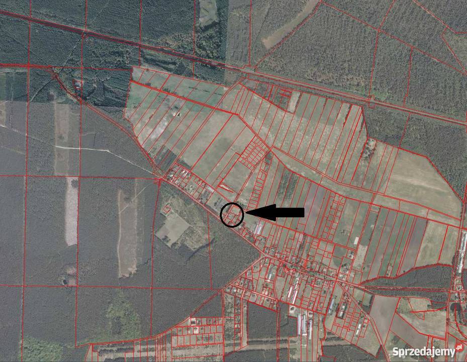 Piękna działka budowlana 25 min Szczecina zachodniopomorskie Niedźwiedź
