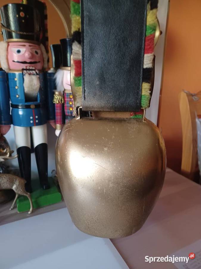 Piękny dzwonek krowiak Szwajcaria Poznań