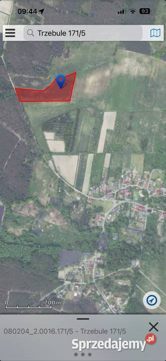 Działka z pięknym drzewostanem lubuskie