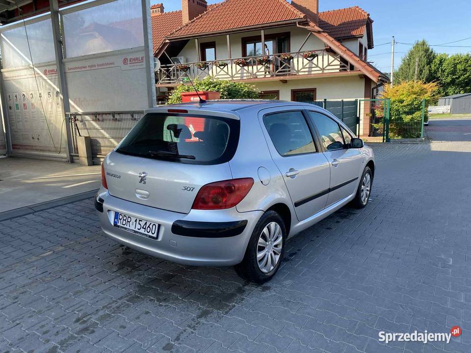 Peugeot 307 16 benzyna 105KM podkarpackie Lutcza