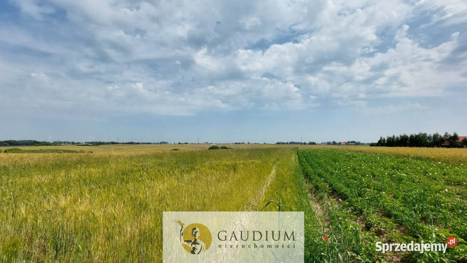 Działki przemysłowe PSSE Sztum