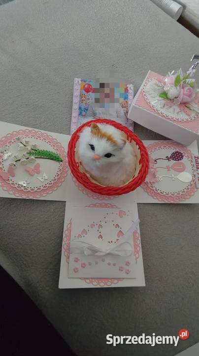 Exploring box na różne okazje Świdnica