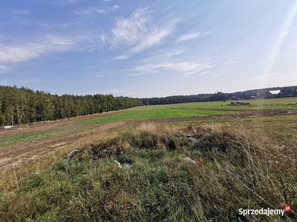 Lokal na sprzedaż 1233m2 Glinno przemysłowy sprzedam