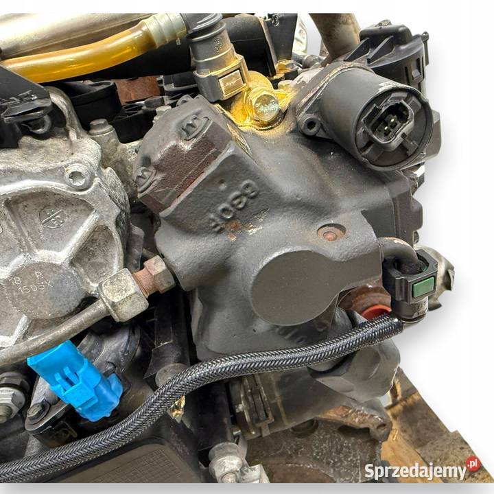 SILNIK G6DA Ford C C Focus MK2 20 TDCI 136 G6DB osobowe Chełm