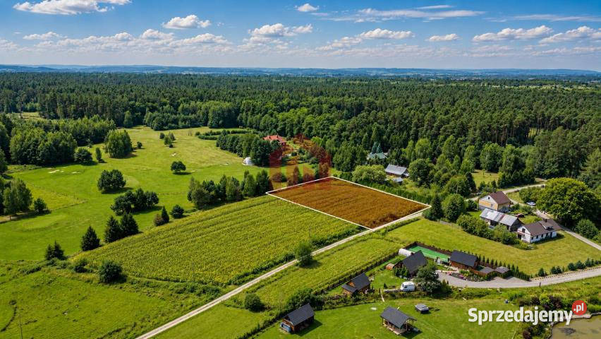 sprzedaży działki Krzywa 3100m2