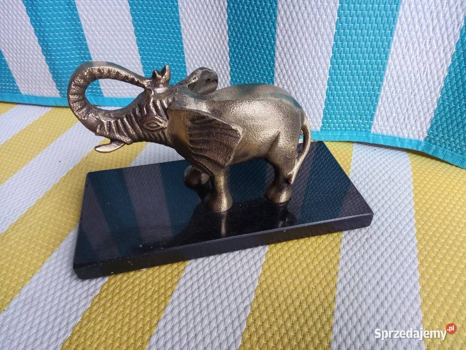 Słonia sprzedam Wyposażenie wnętrz Borówno