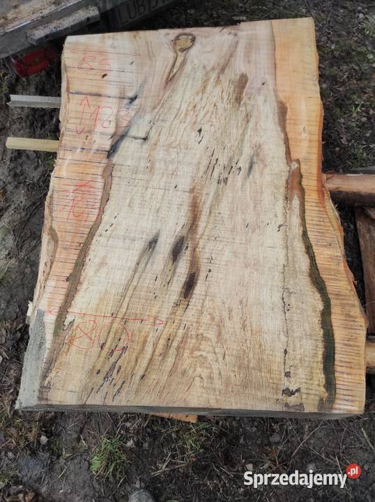 Monolit 124x80x10 wiąz dąb buk jesion stolik Przysucha sprzedam