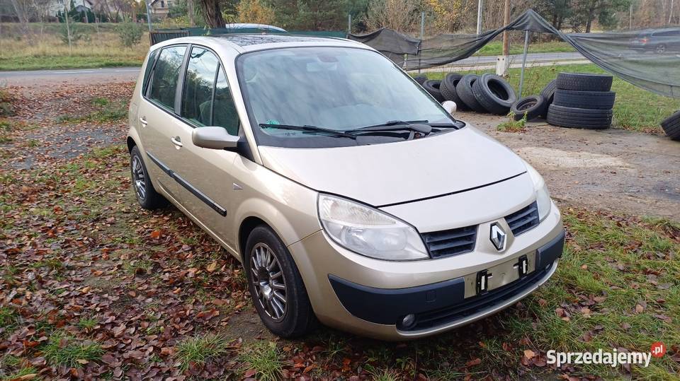 Renault Scenic 2006 r 19 130 lubuskie Rzepin