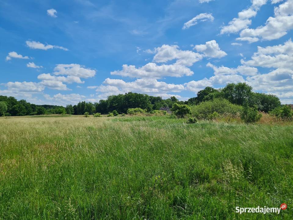 Działka na sprzedaż bez pośredników Wilkowa