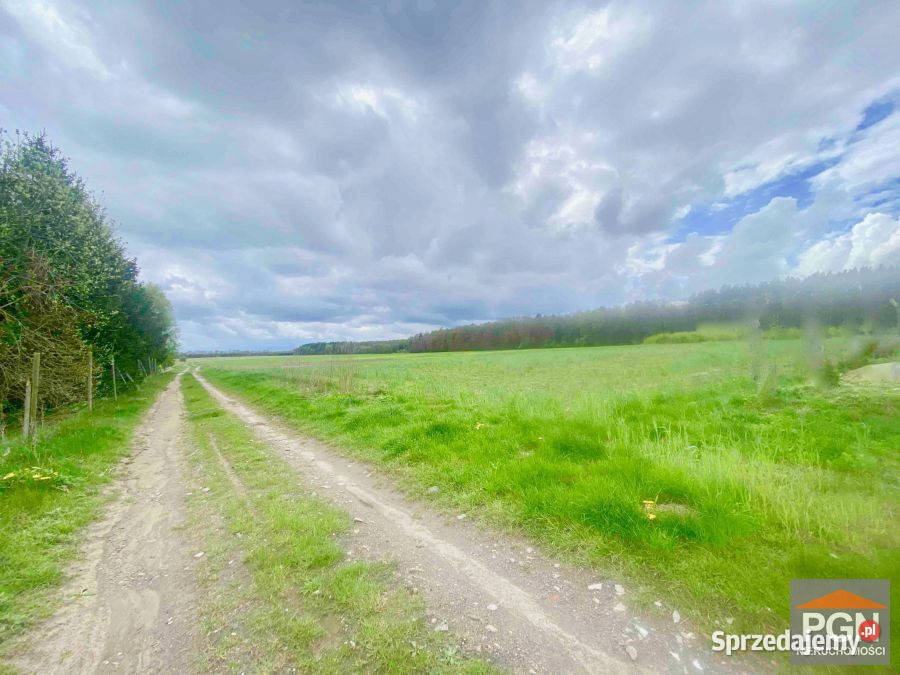 sprzedaży działki Gryfice 1505m2