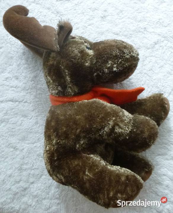 Pluszak łoś w szaliczku mazowieckie Warszawa