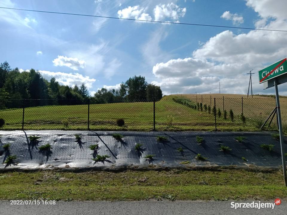 Działka budowlana 8000m2 Cisowa