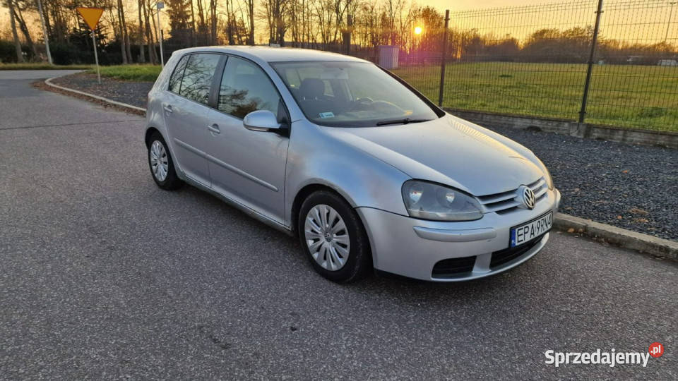 Volkswagen Golf 20 TDI 140 2004 Klima Elektryka 4/5 Pabianice
