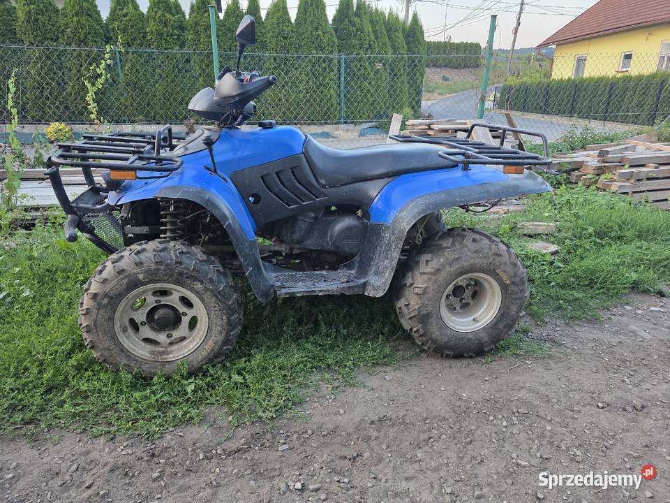 Linhai 300 4x4 Motoryzacja sprzedam