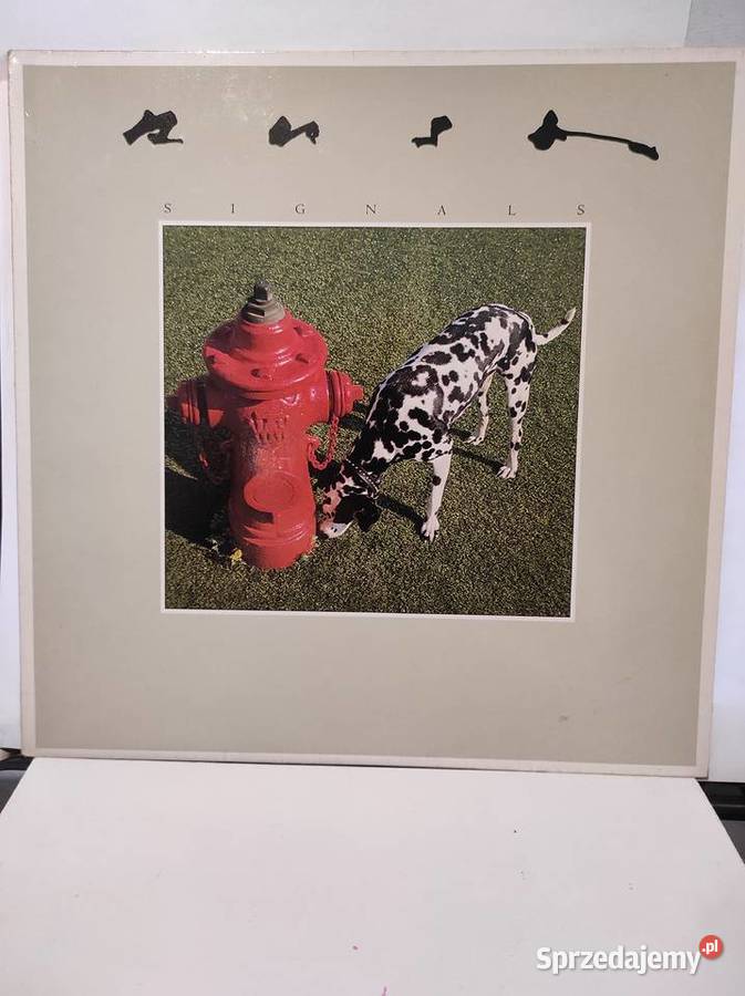 winyle wyprzedaż kolekcji pierwsze tłoczenia Wrocław sprzedam