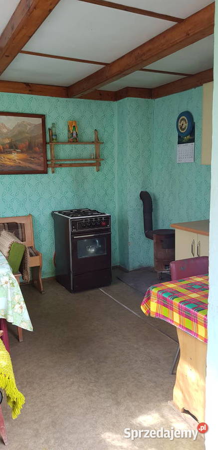 Odstępne działkę ROD Pilczyce Hutnicza 440m2 Wrocław sprzedam