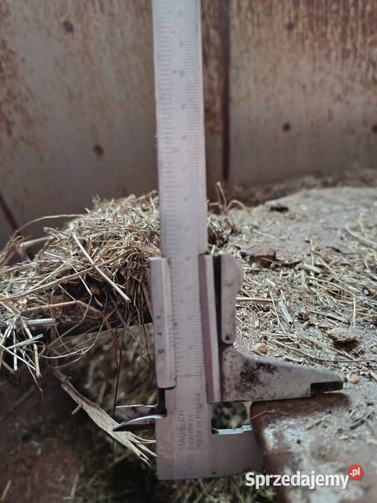 paszowoz triolet solomix 1200 jumz Pabianice