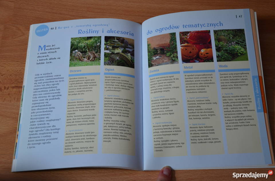 FENG SHUi w ogrodzie Rok wydania 2009