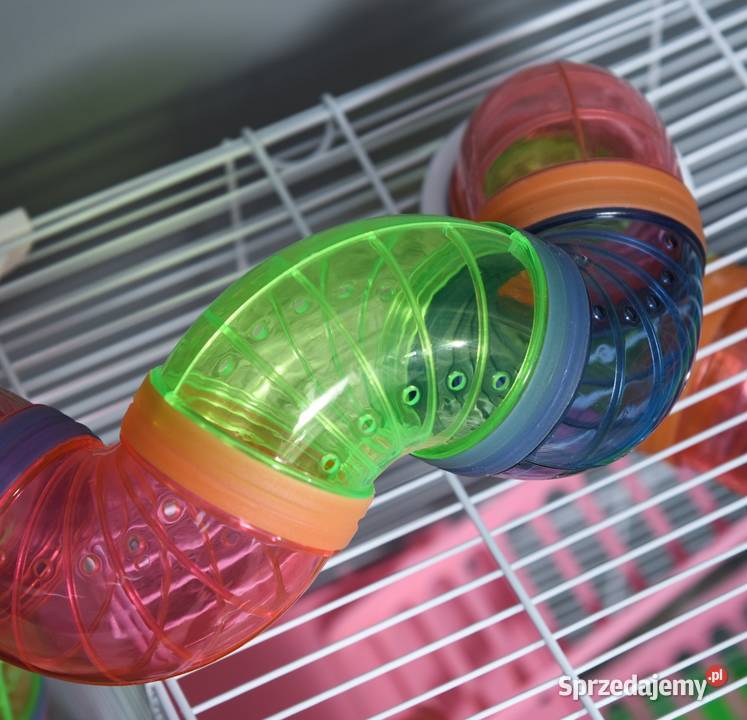 Klatka chomika gryzoni z akcesoriami małopolskie Brzesko sprzedam