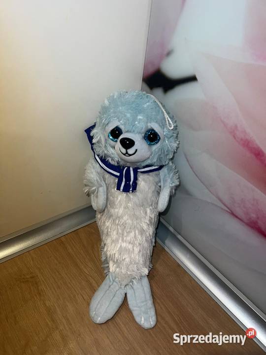 Misiu foczka super miś Gdańsk