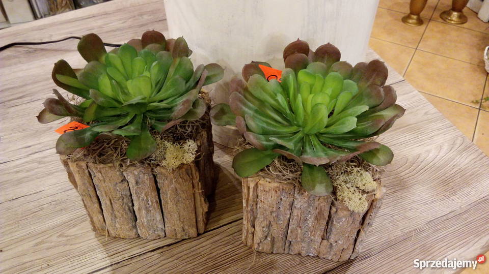 Kwiaty z dowozem pomorskie Starogard Gdański