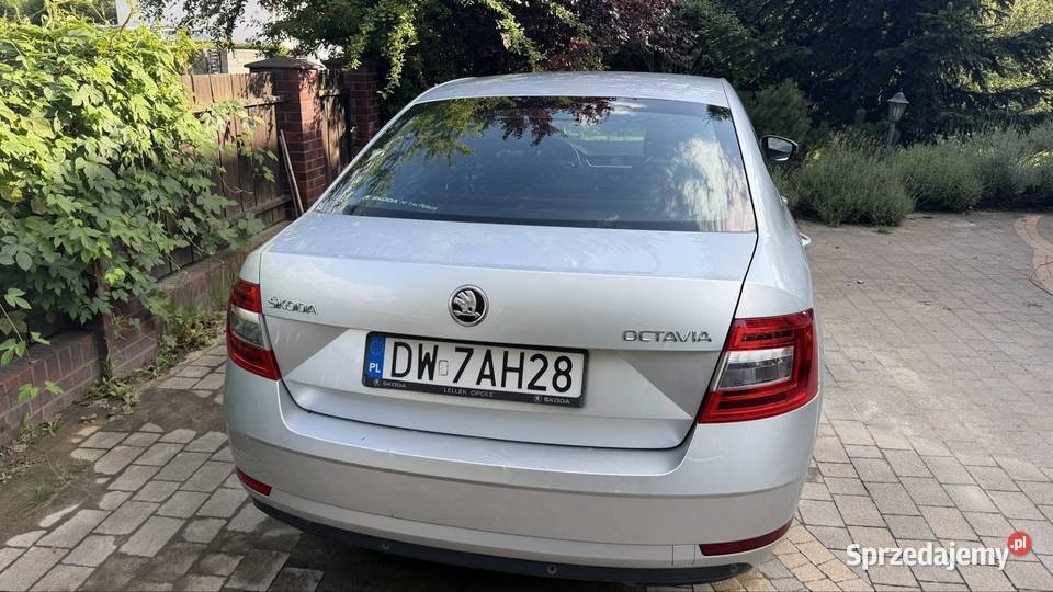 Skoda octavia Chrząstawa Mała