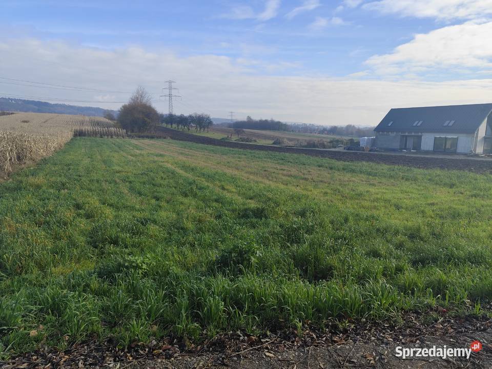 Działka budowlana 315a Kobylany Kasztanowa