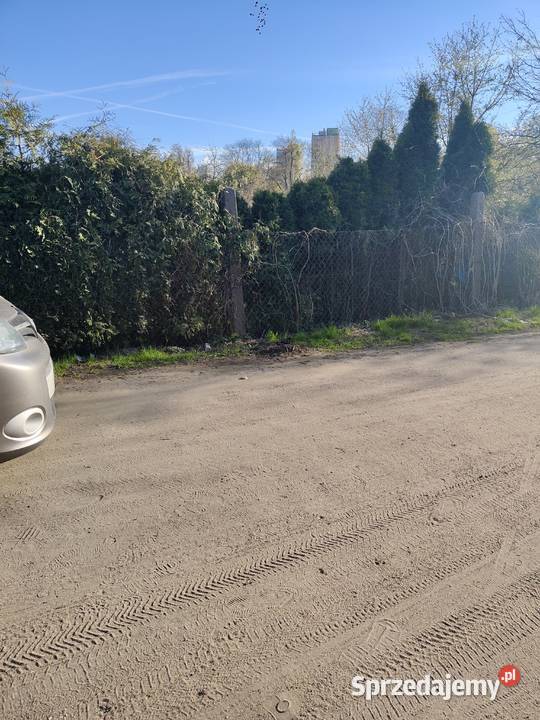 Działka ROD Parkiem w Pile Piła sprzedam