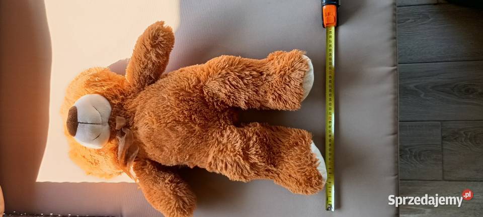 Maskotka miś Mirimoo Włocławek