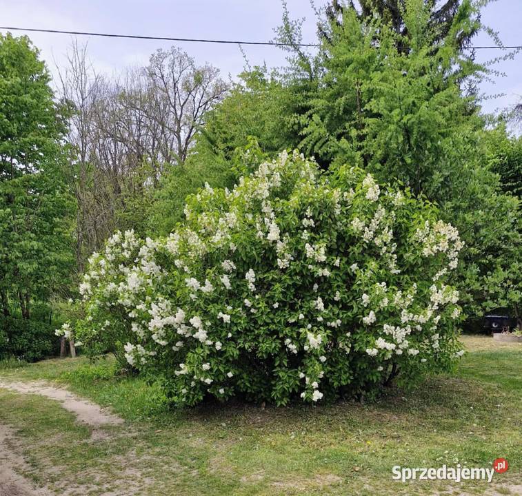 Dom jednorodzinny Tychowo