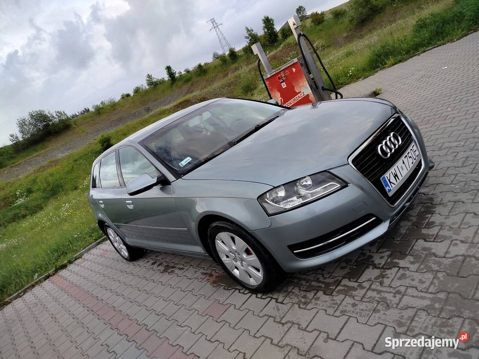 Audi A3 8P sportback lift 16tdi 265000km Ptaszkowa sprzedam