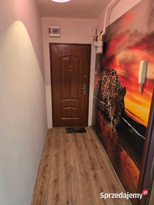 Lolal mieszkalny 3570 m2 Aleja Wolności 200 000 dolnośląskie Głogów