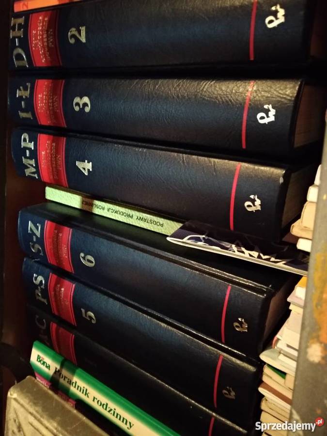 nowa encyklopedia powszechna pwn 6 tomów Poznań sprzedam