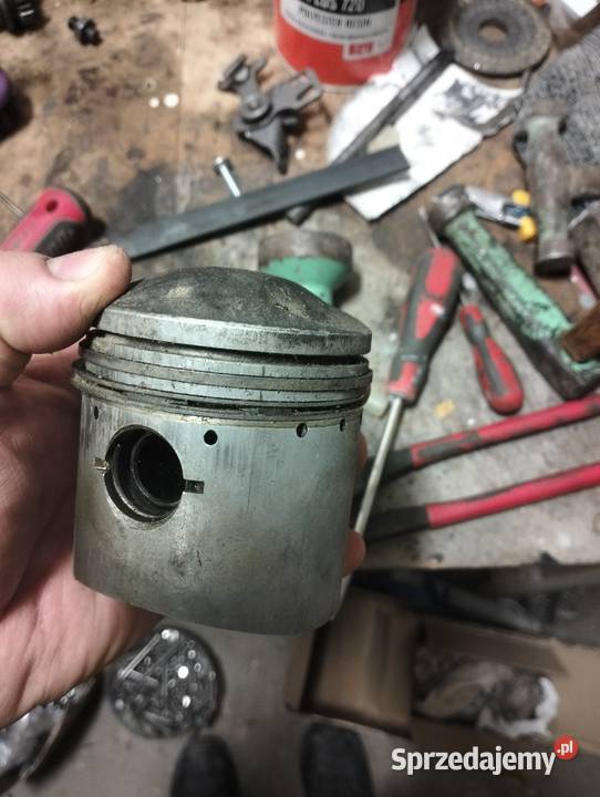 Junak tlok podkarpackie Hermanowa