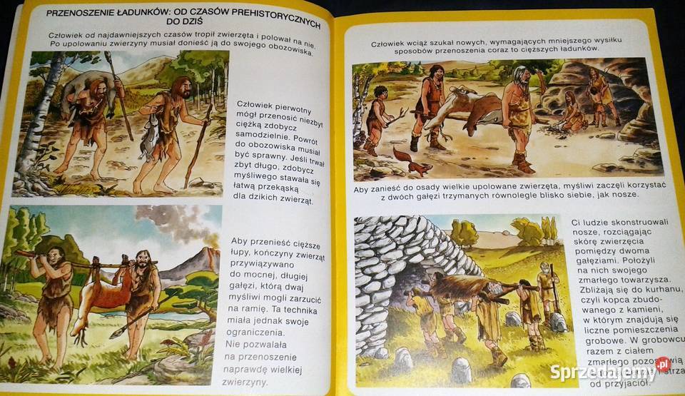 Świat w obrazkach Transport Emilie Beaumont lubelskie Chełm