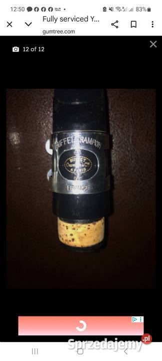 Gitara goshe japońska Głogów Małopolski