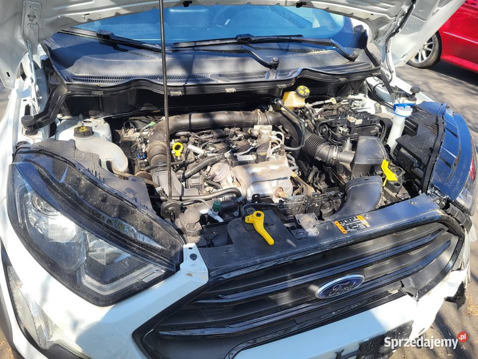 Ford EcoSport 10 EcoBoost Activ Gniezno