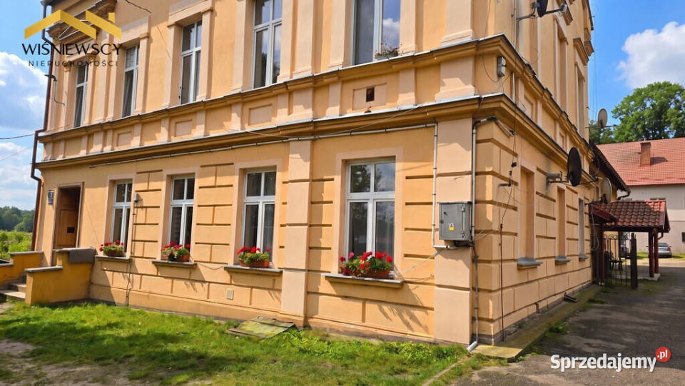 66 m z ogródkiem starówce w Pasłęku warmińsko-mazurskie Pasłęk