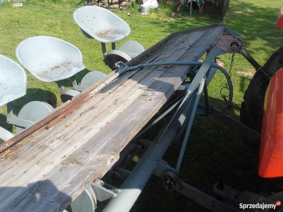 Sadzarka do kapusty małopolskie Charsznica sprzedam