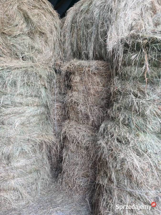Siano rolki bele 120x120 Firlej sprzedam