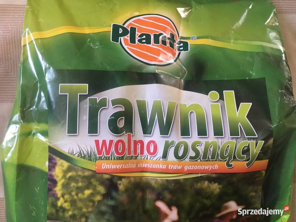 Planta 5 nasiona Trawnik wolno rosnący 200 m kw Kołobrzeg