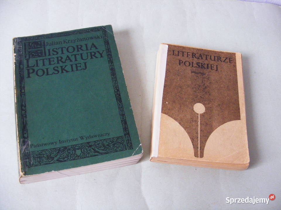 O literaturze polskiej Historia literatury literaturoznawstwo