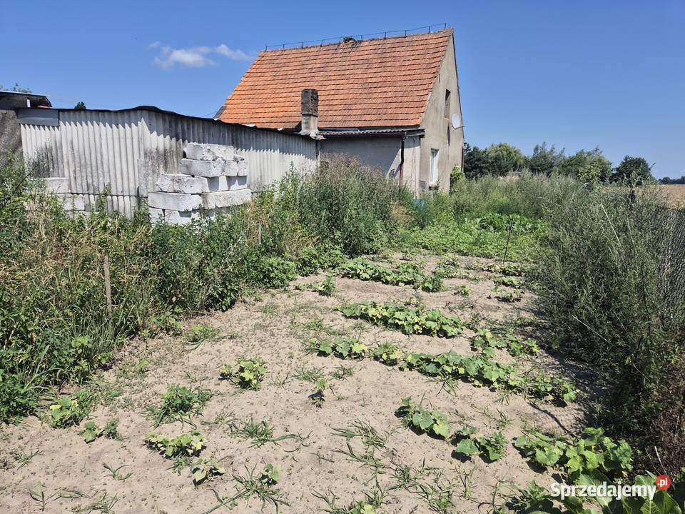 Dom 80m2 działka 900m2 2125zł/m2