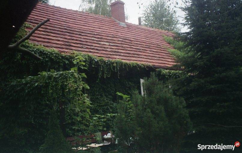 Gospodarstwo Rolne w Dolinie Baryczy Kędzie