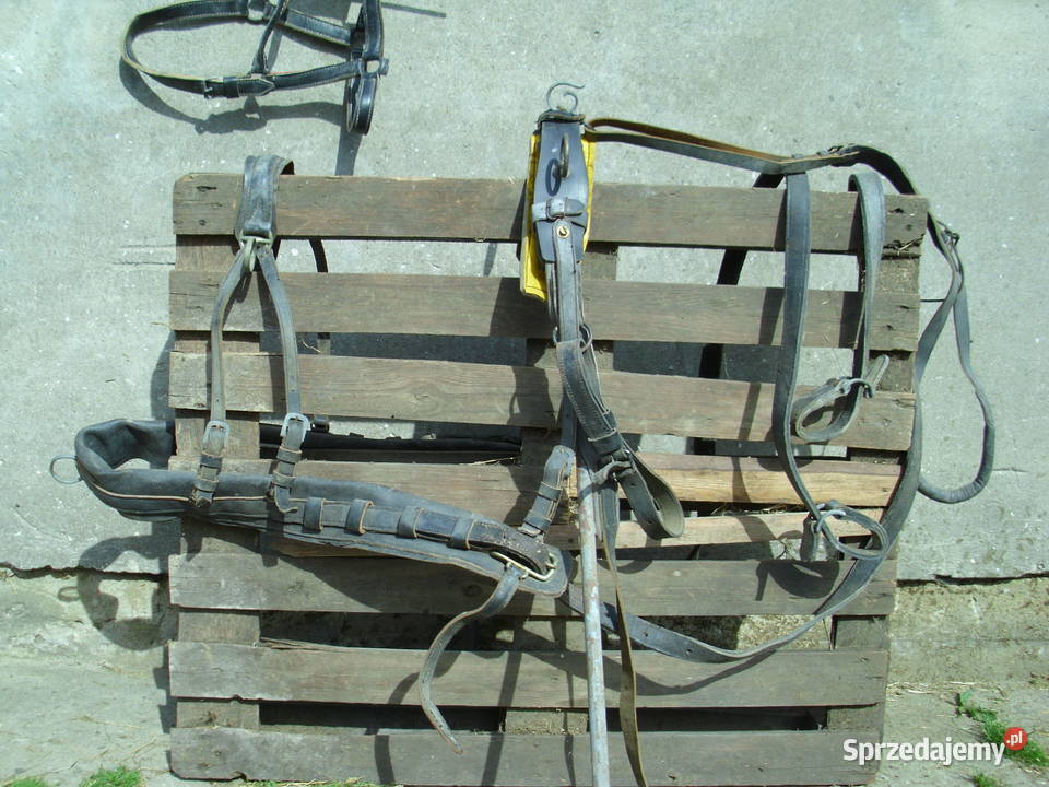 Bryczka uprząż kantar Przechlewo