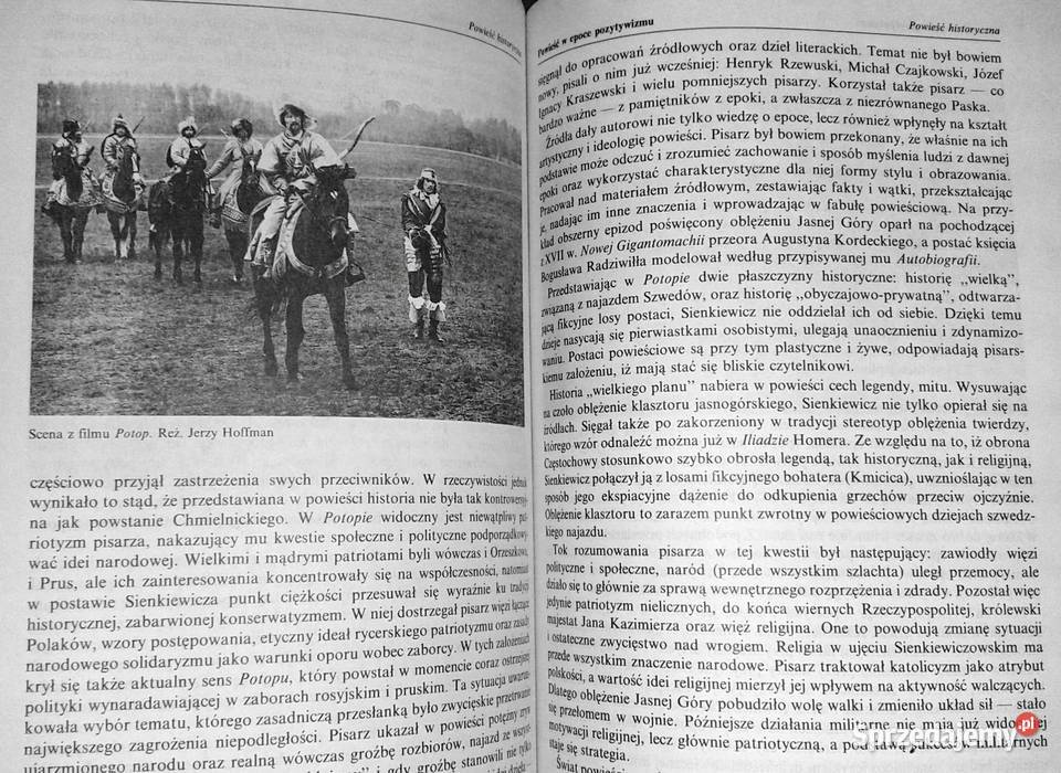 Pozytywizm Podręcznik Tadeusz Bujnicki Chełm