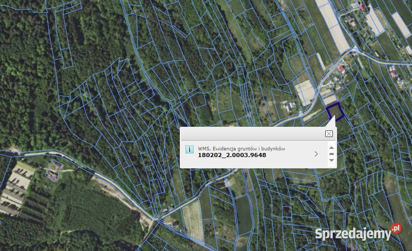 Wynajmę działkę budowlaną Golcowa sprzedam