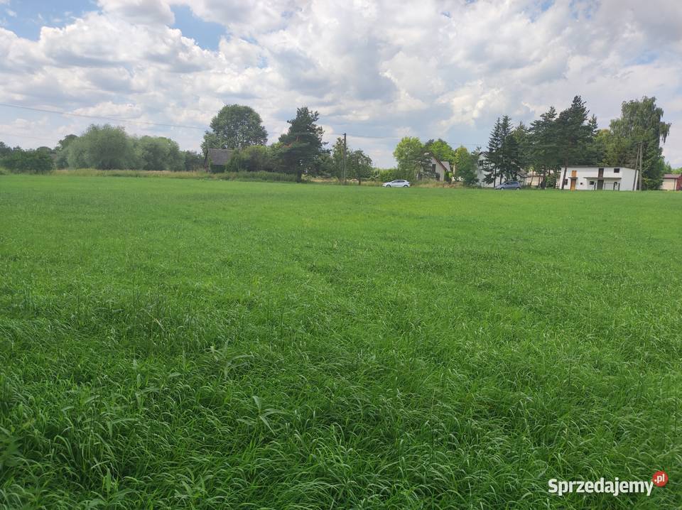 Działka rolna w Iłownica